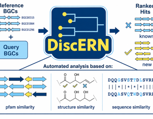 Genome-mining tool reveals new antibiotic hidden in a silent gene cluster