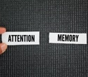Limited attention can make rare events seem more likely over time