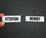 Limited attention can make rare events seem more likely over time