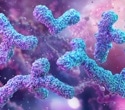 Gut microbial metabolites may shape vulnerability to stress-related mental disorders