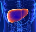 Study tests chronotype’s liver link and finds no significant association