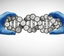 Five epigenetic clocks reveal shared and distinct signals of aging