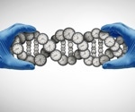 Five epigenetic clocks reveal shared and distinct signals of aging
