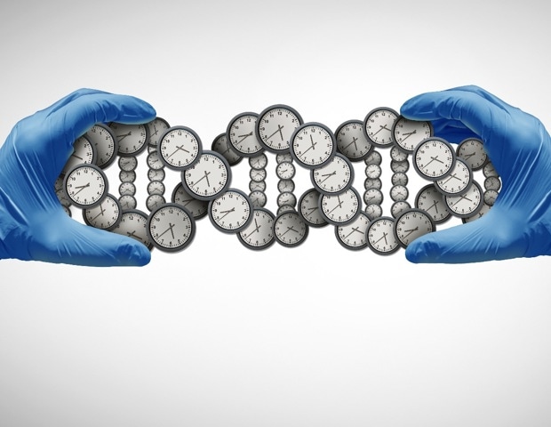 Five epigenetic clocks reveal shared and distinct signals of aging