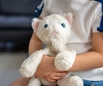 Stuffed toys can release short-chain PFAS into saliva, study finds