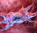 Spermidine boosts key cellular processes linked to aging in early research