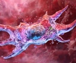 Spermidine boosts key cellular processes linked to aging in early research