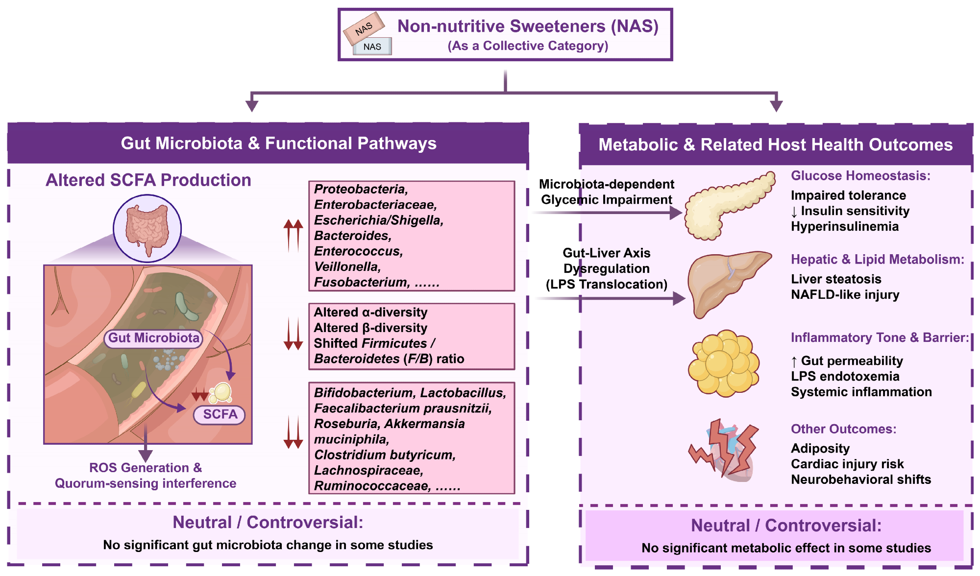 Compound-specific and context-dependent response framework for NAS effects on gut microbiota and host-related outcomes. The figure summarizes how individual NASs and mixed formulations may be linked to gut microbiota composition, gut microbial function or metabolites, and host outcomes such as glycemic regulation, intestinal barrier function, inflammation, hepatic lipid metabolism, adiposity, or neurobehavioral endpoints. Note: arrows and outcome labels should be interpreted as evidence-mapping relationships rather than uniform category-level effects, because reported directions vary by compound, dose, formulation, exposure duration, host background, model system, and endpoint layer.