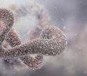 AI redesign helps enzymes evolve beyond natural limits