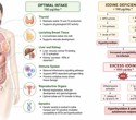 Too little or too much iodine may push immunity off balance