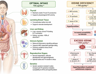 Too little or too much iodine may push immunity off balance