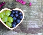 Review finds blueberry and grape polyphenols may improve vascular health