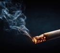 Cigarette smoke extract primes airway cells for greater nanoplastic damage