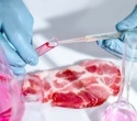 Pork supply chains may be shaping the global spread of drug-resistant Salmonella