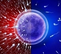 Study links higher body fat to lower sperm counts despite normal BMI