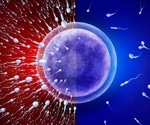 Study links higher body fat to lower sperm counts despite normal BMI