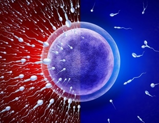 Study links higher body fat to lower sperm counts despite normal BMI