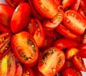 Daily tomatoes lowered a key marker of liver fat in MASLD trial