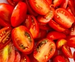 Daily tomatoes lowered a key marker of liver fat in MASLD trial