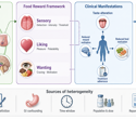Food may taste different on GLP-1 drugs, but taste may not be the reason