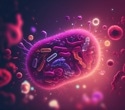 Mouse study shows how liraglutide briefly rewires gut bacterial communities