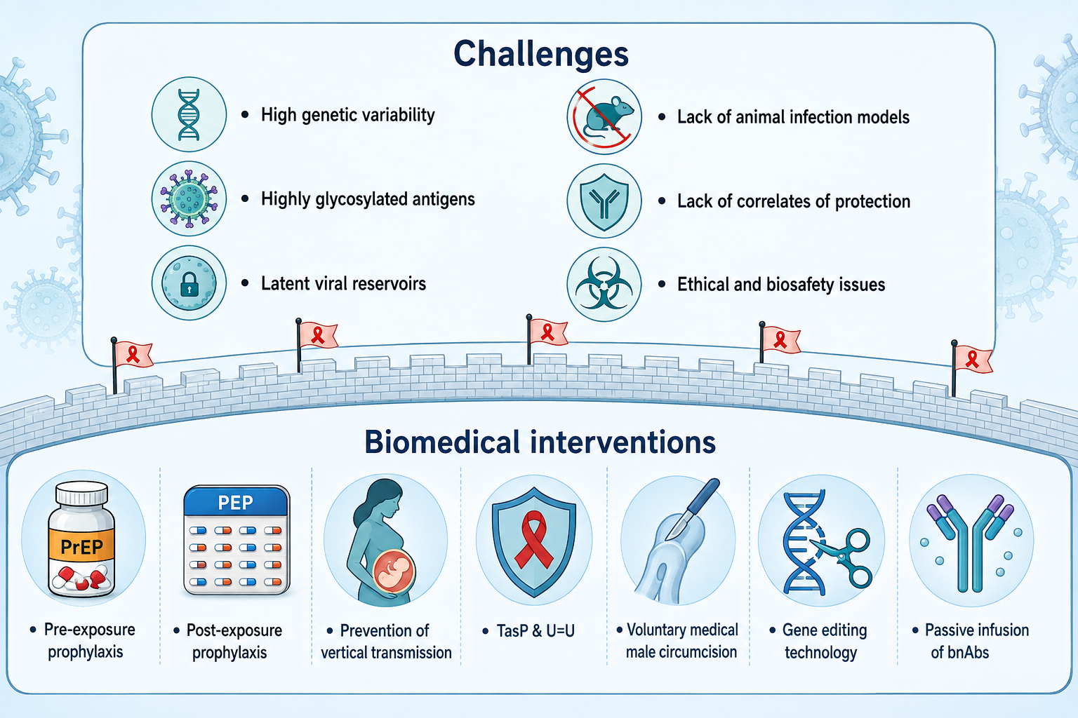 Review: Biomedical Interventions for HIV Prevention and Control: Beyond Vaccination.