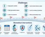 Long-acting HIV prevention tools could help close the gap before a vaccine arrives