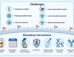 Long-acting HIV prevention tools could help close the gap before a vaccine arrives
