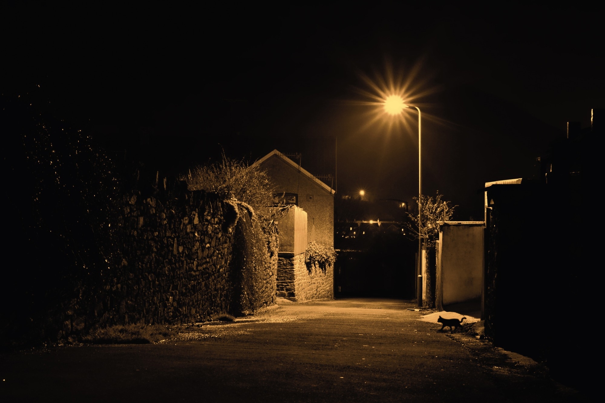 Nighttime light linked to conflicting signs of biological aging