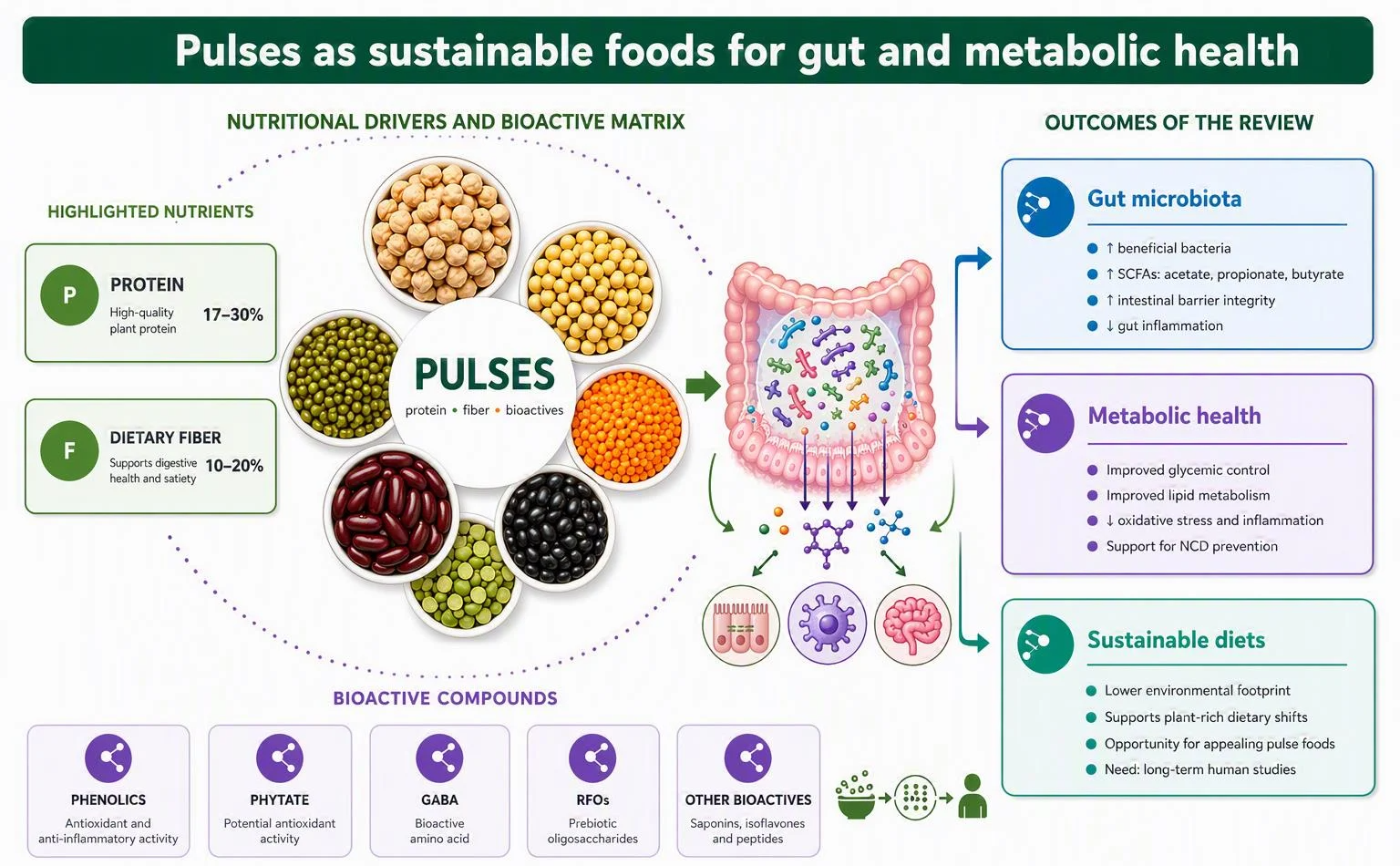 Why pulses could play a bigger role in healthy and sustainable diets