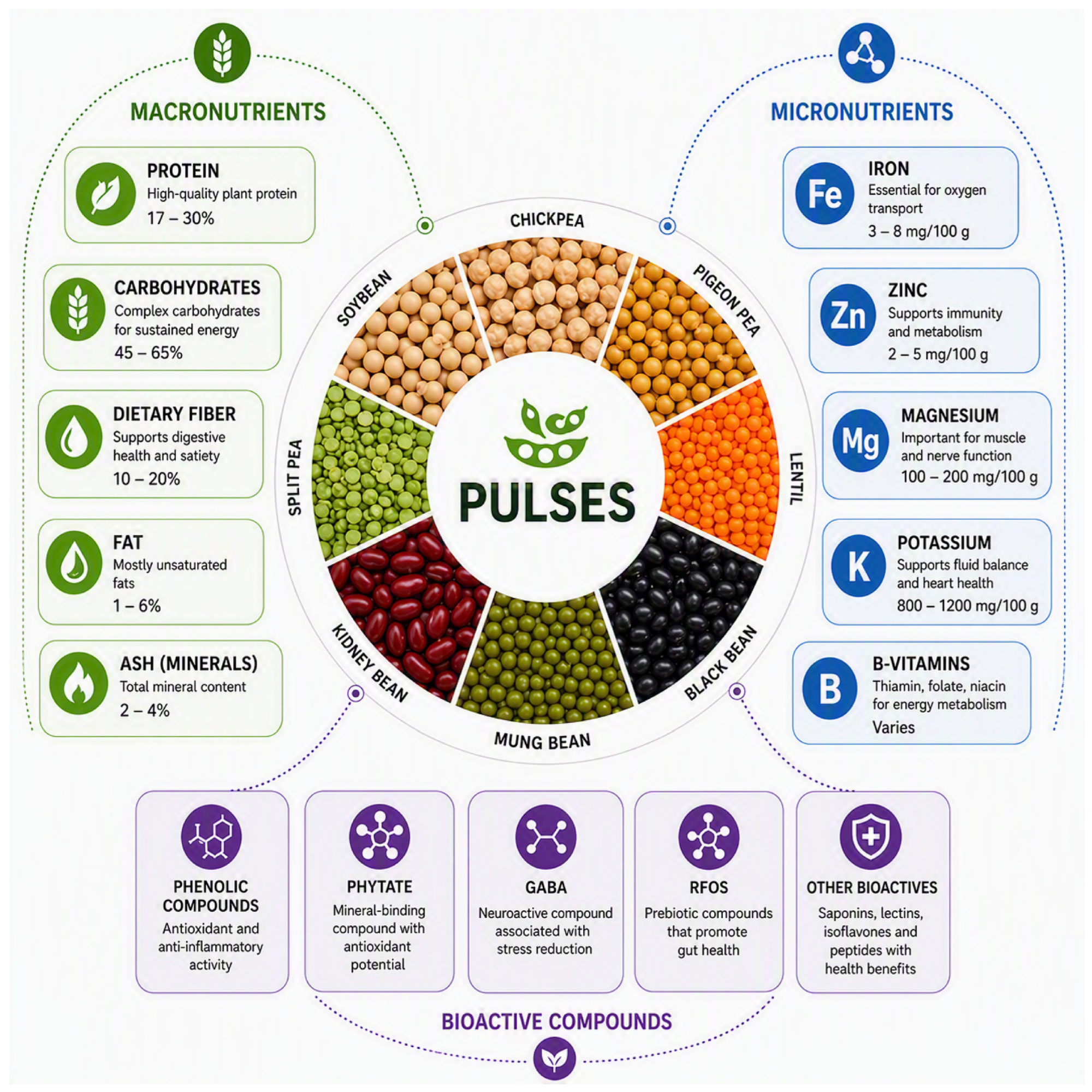 Overview of the major macronutrients, micronutrients, and bioactive compounds present in pulses. Note. Values are approximate ranges (per 100 g).