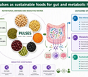 Why pulses could play a bigger role in healthy and sustainable diets
