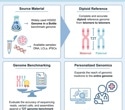 New human genome benchmark captures both parental copies with near-perfect accuracy