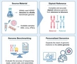 New human genome benchmark captures both parental copies with near-perfect accuracy