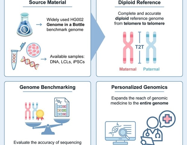 New human genome benchmark captures both parental copies with near-perfect accuracy
