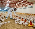 H5N1 infections remain rare among workers exposed to infected birds