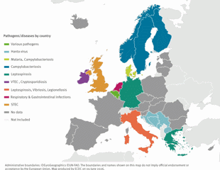 Heavy rainfall and flooding raise infectious disease risks across Europe