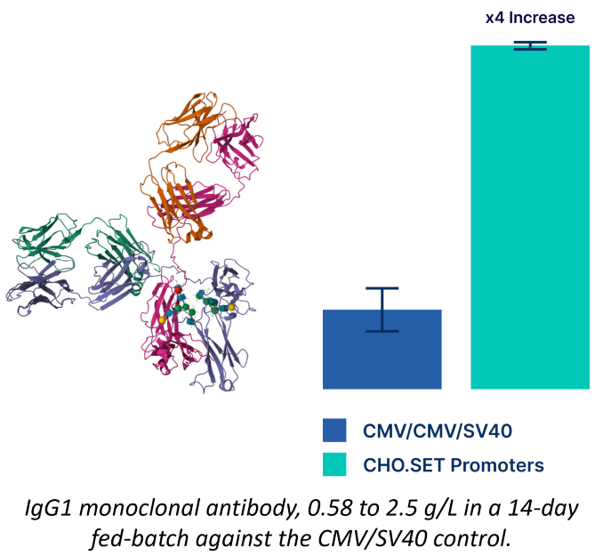 SynGenSys introduces expanded CHO.SET synthetic promoter library for enhanced biomanufacturing