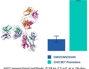 SynGenSys introduces expanded CHO.SET synthetic promoter library for enhanced biomanufacturing