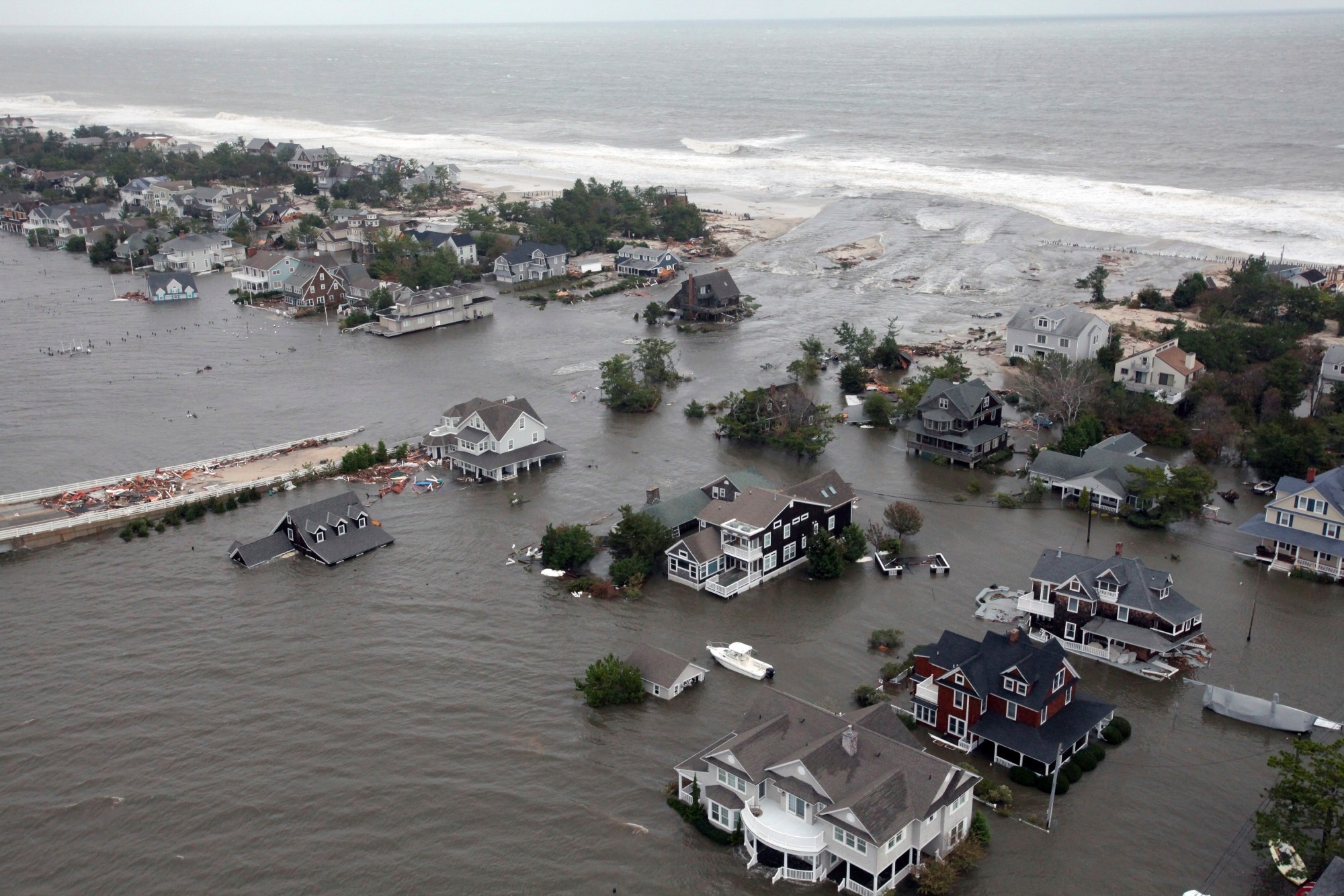tudy: Domestic fungal exposure and asthma morbidity in New York City children following Superstorm Sandy. Image Credit: Rawpixel.com / Shutterstock