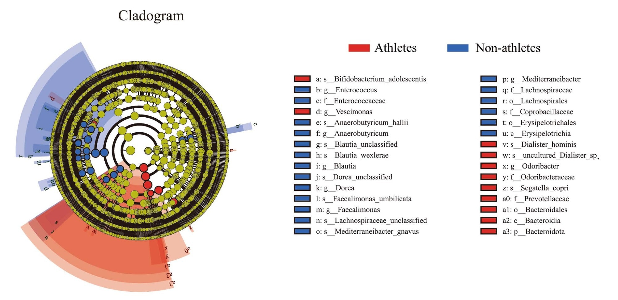 Differential gut microbial taxa between sprint athletes and non-athletes. (A) LEfSe analysis identified differentially abundant taxa with LDA score >3.0 and FDR < 0.2.