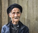 A striking immune cell pattern emerges around a person’s 100th birthday