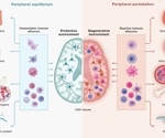 Disrupted brain-immune signaling may help drive neurodegeneration