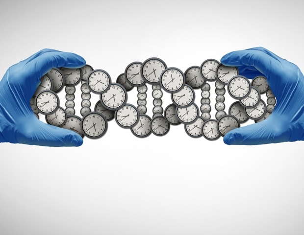 Scientists compared 51 longevity studies to see which aging biomarkers respond most reliably