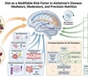 The diet-Alzheimer’s connection is more complicated than “eat this, avoid that”
