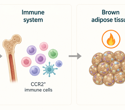 Researchers traced lifelong obesity resistance in mice back to an early microbial encounter