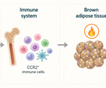 Researchers traced lifelong obesity resistance in mice back to an early microbial encounter