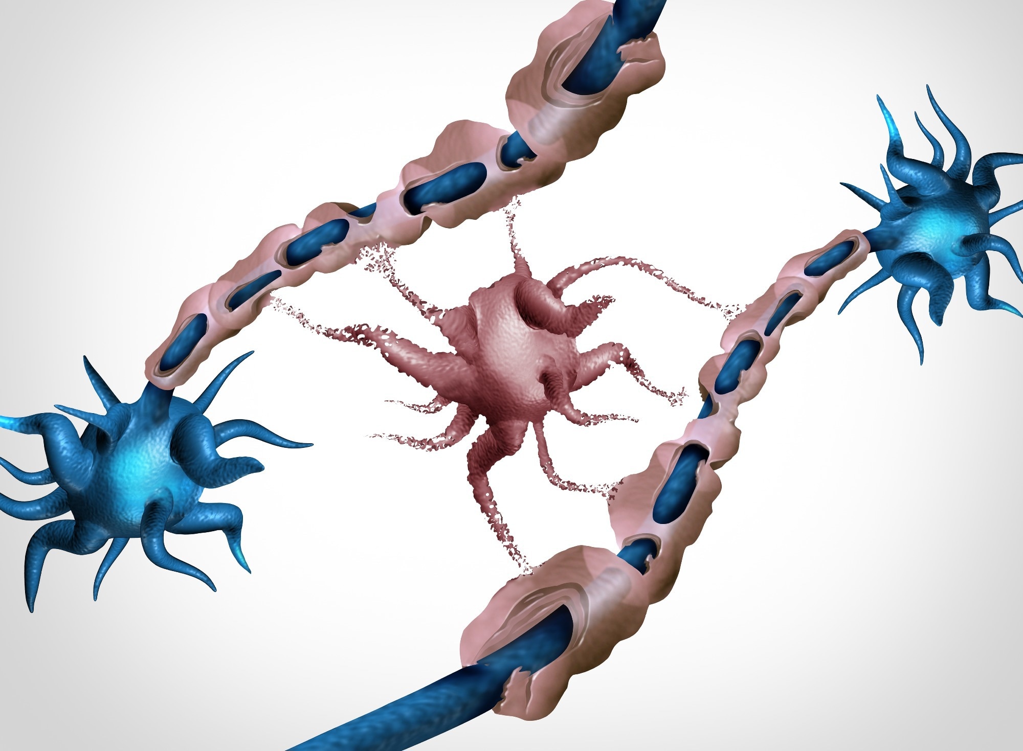 Study: Oligodendrocyte dysfunction in human age-related cognitive decline. Image Credit: Lightspring / Shutterstock