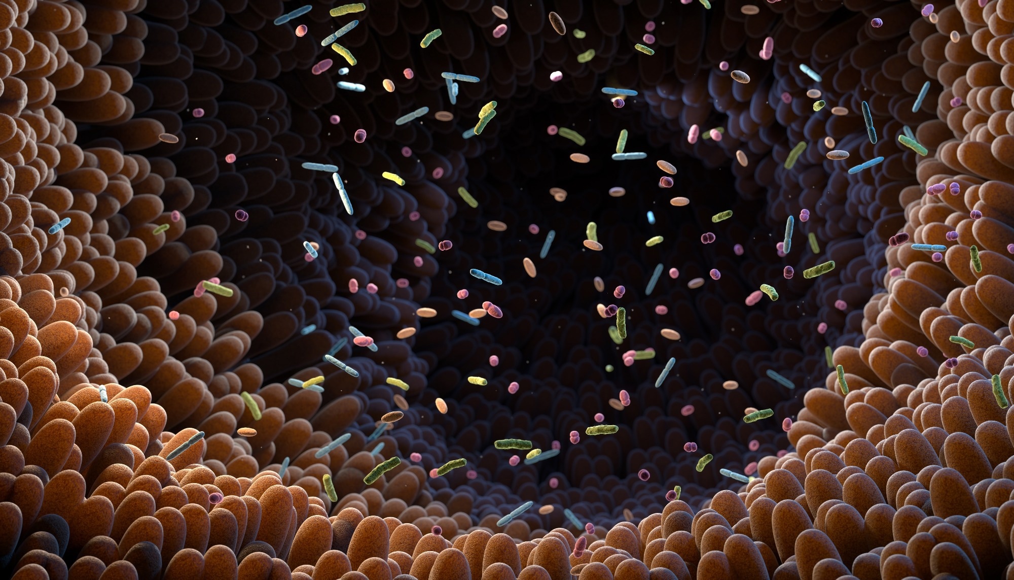 Study: An atlas of colonization factors in the human gut microbiome reveals ecological strategies and inflammatory bowel disease signatures. Image Credit: Tatiana Shepeleva / Shutterstock