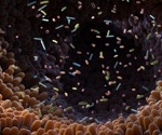 Gut microbiome atlas maps how bacteria establish themselves and shift in inflammatory bowel disease